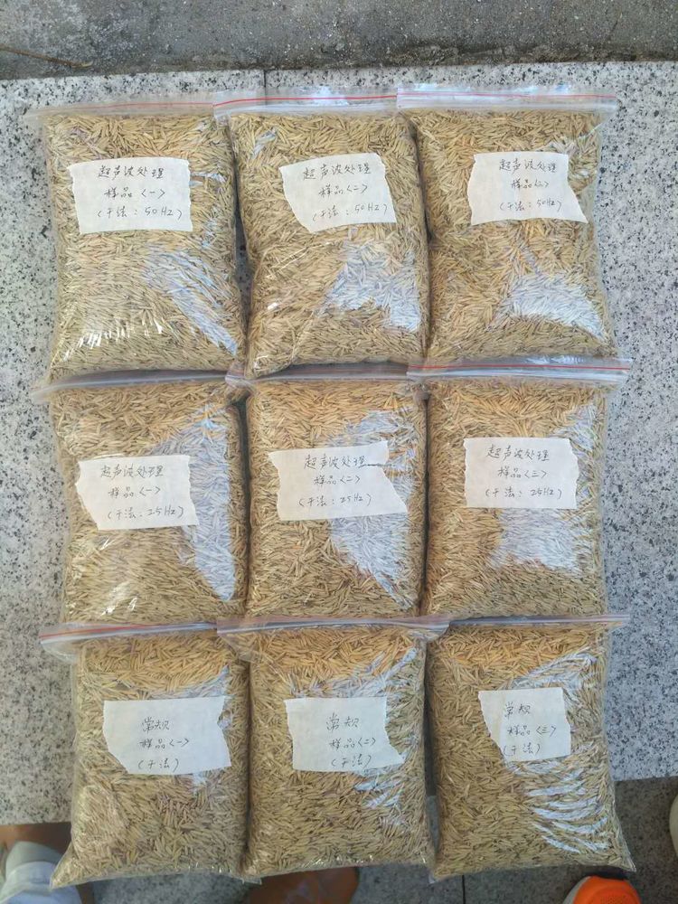 “超聲波處理對稻谷表面微生物的影響”發表論文啦！！