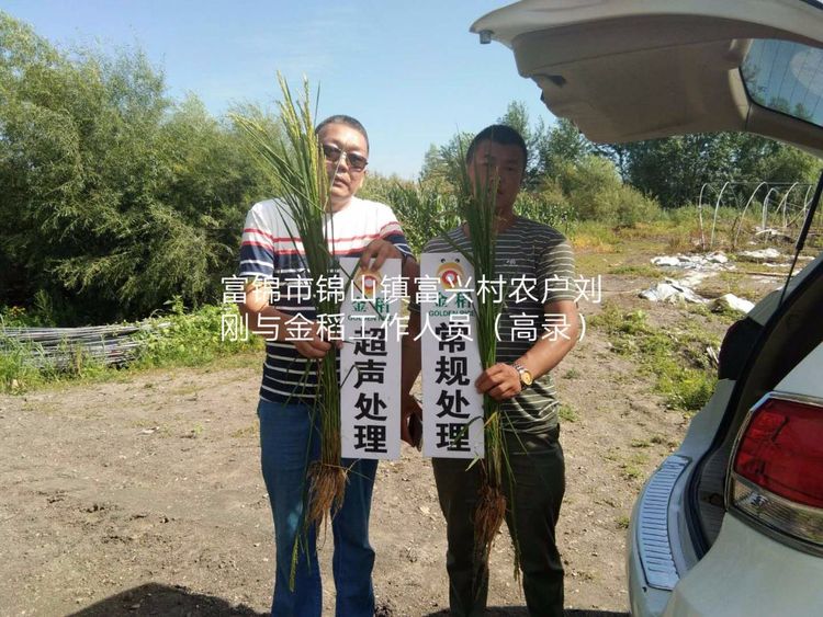 黑龍江雙鴨山市與佳木斯市的超聲波玉米、水稻種植田調查