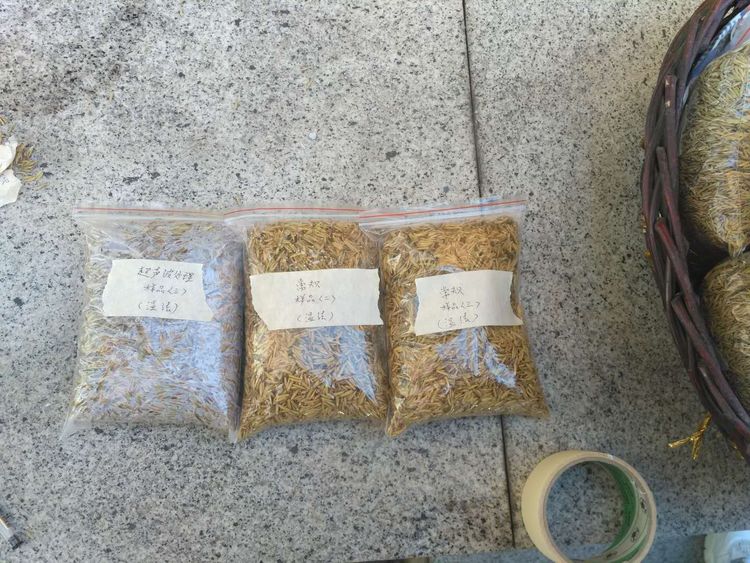 “超聲波處理對稻谷表面微生物的影響”發(fā)表論文啦!!