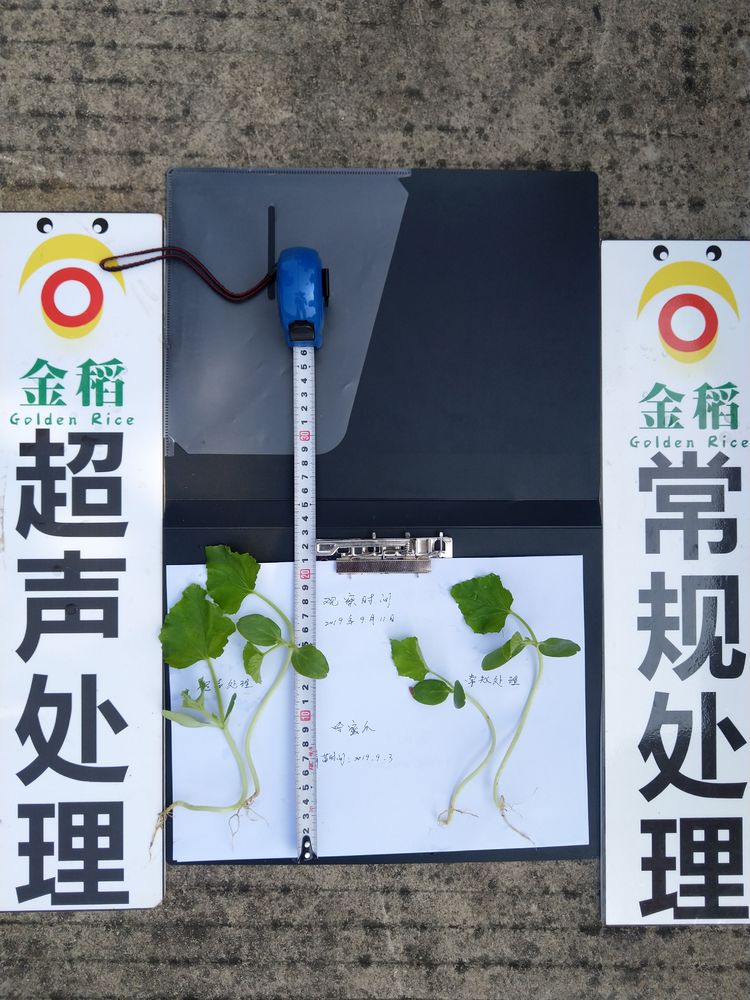 金稻農業大田田間調查