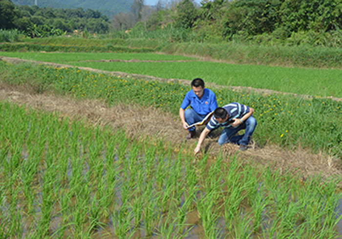 從化鰲頭試驗基地